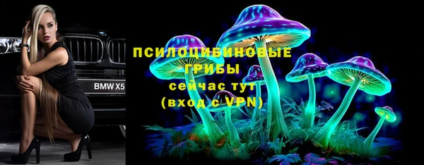 хмурый Абинск