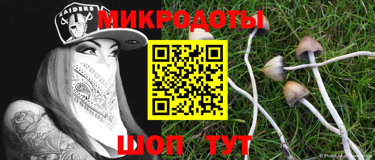 Галлюциногенные грибы мицелий  Вход с VPN  Кингисепп 